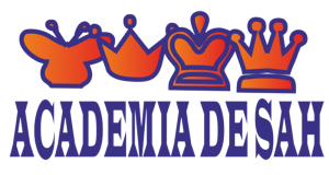 Academia de Șah